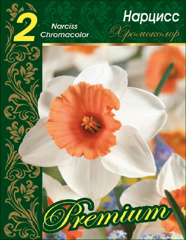 Нарцисс Хромоколор 1 уп.(2 шт.) 